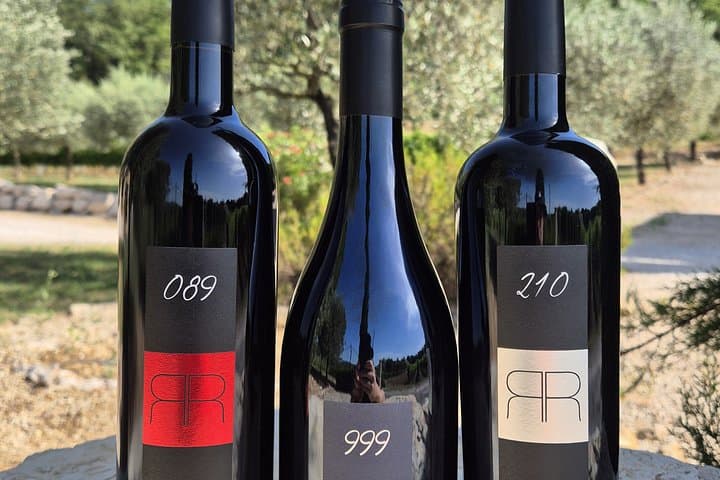 The Living Vines Guided Tour and Organic Wine Tasting