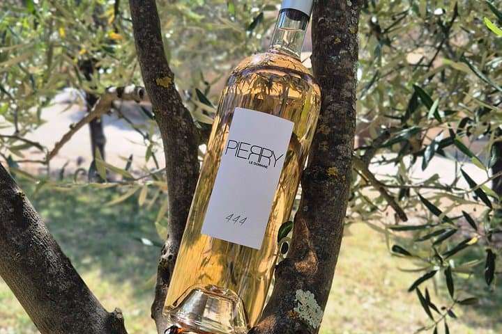 The Living Vines Guided Tour and Organic Wine Tasting