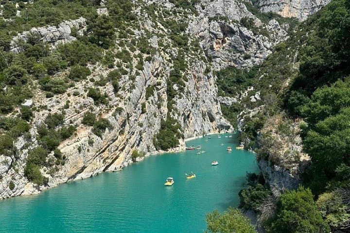 From Nice or Cannes Provence Lavender Fields and Verdon Tour