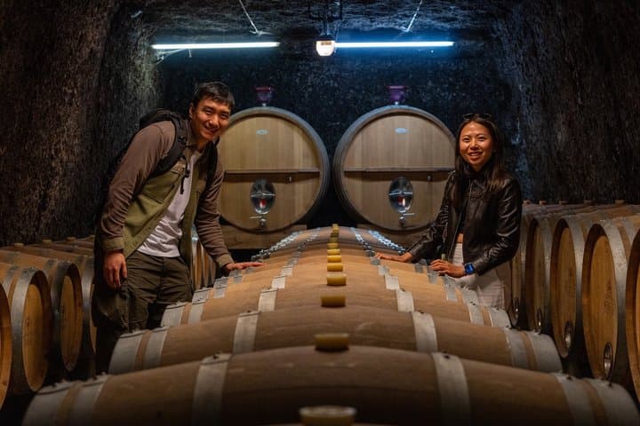 Loire Valley Castles Day Trip from Paris & Tasting with Pickup