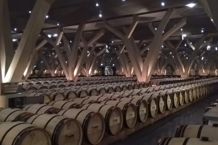 Bordeaux Private Wine Tours at Left Bank Medoc