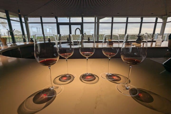 Bordeaux Private Wine Tours at Left Bank Medoc