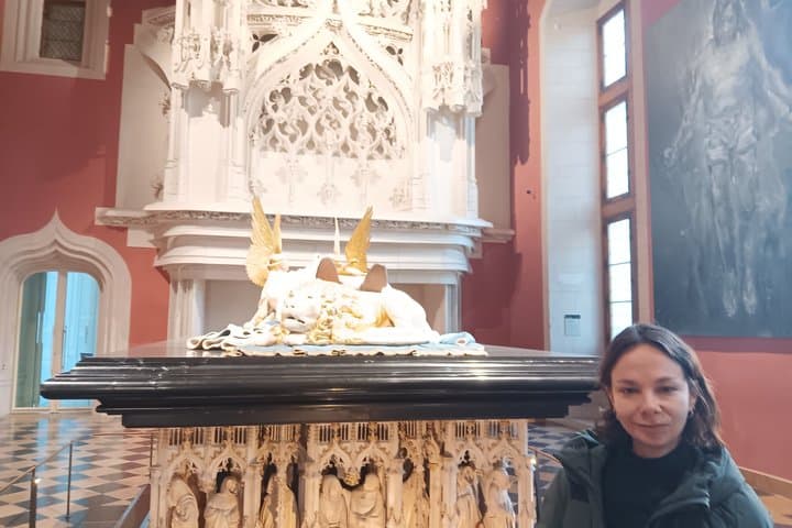 Private Guided Walking Tour of Historic Dijon