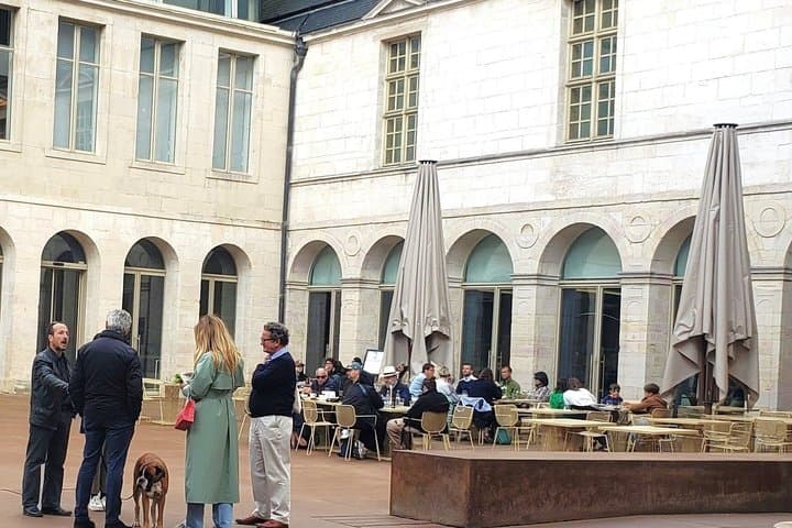 Private Guided Walking Tour of Historic Dijon