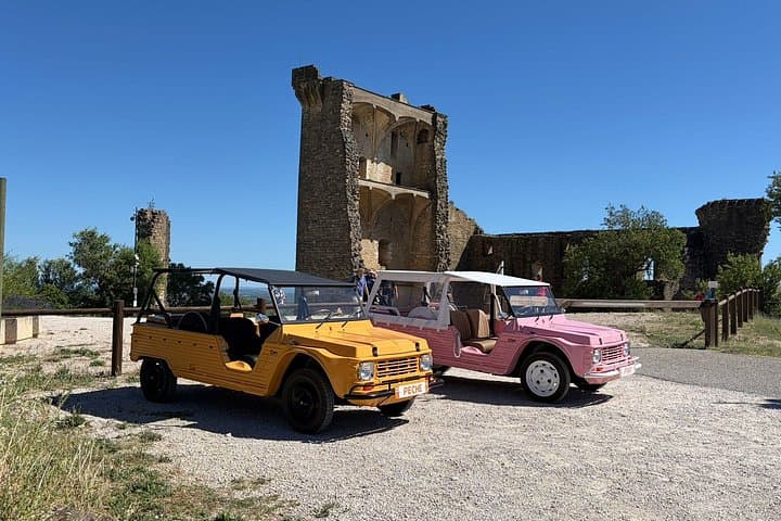 Wine Route of Châteauneuf du Pape in Méhari or 2CV