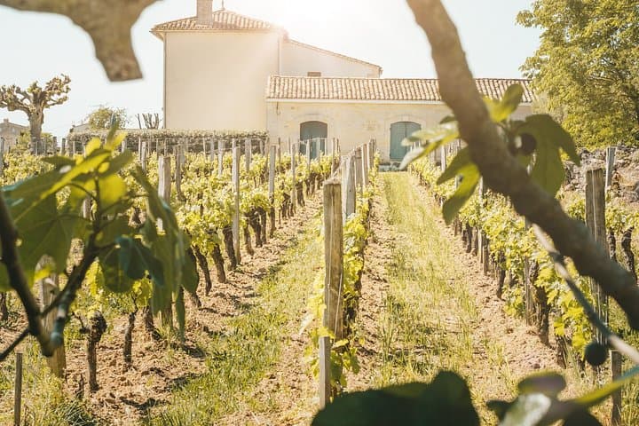 Full Day Journey to Saint Emilion and Medoc