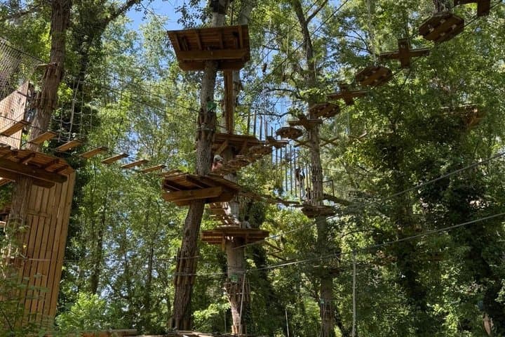 Tree top Adventure in Toulouse