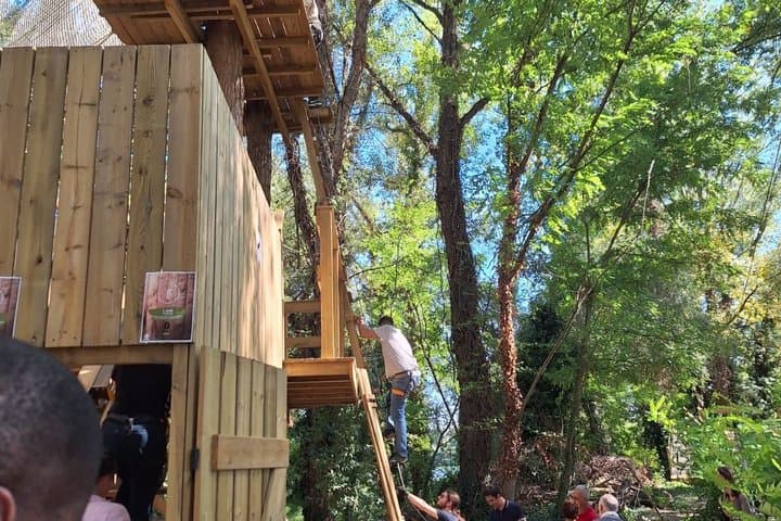 Tree top Adventure in Toulouse