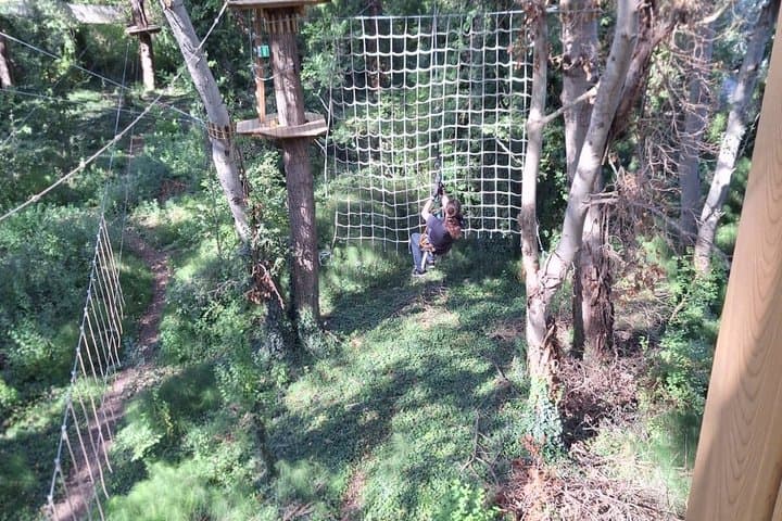 Tree top Adventure in Toulouse