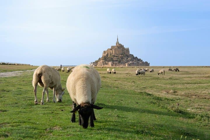 From Deauville Private Full-Day Trip to Mont-Saint-Michel