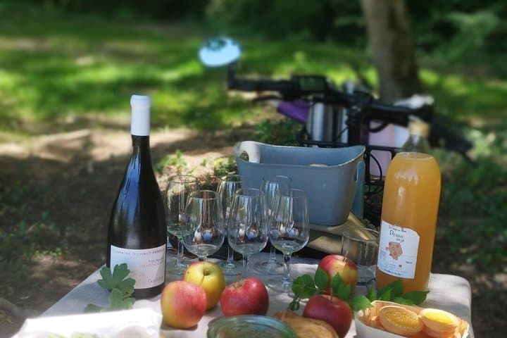The Royal Escape: E-Bike & Gourmet Picnic at Chenonceau.