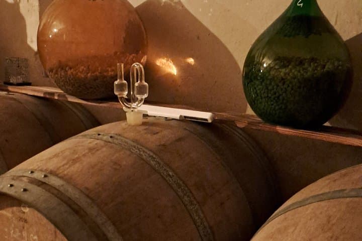 Introduction to Loire Anjou Wines Afternoon Wine Tasting Tour