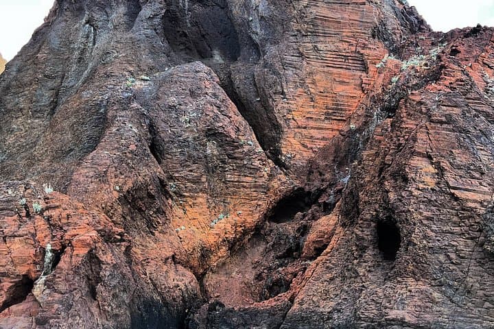 Visit Scandola Nature Reserve and Piana Creeks