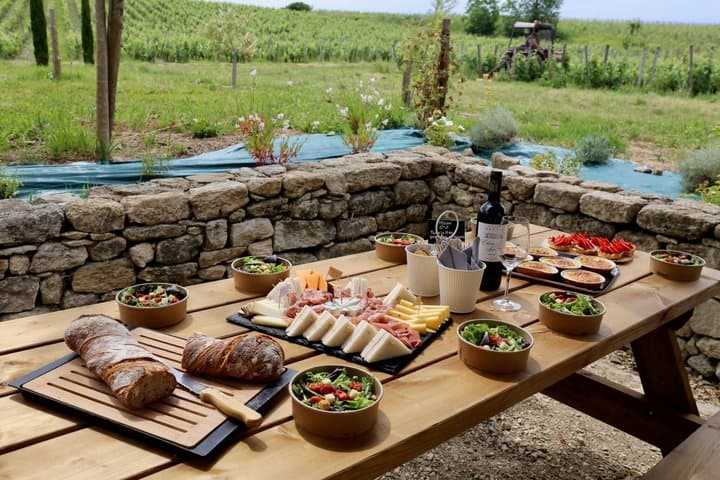 Bordeaux Full Day Wine Tour - 3 Wineries & Gourmet Picnic Lunch
