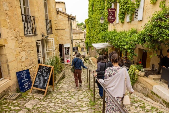 Bordeaux Full Day Wine Tour - 3 Wineries & Gourmet Picnic Lunch