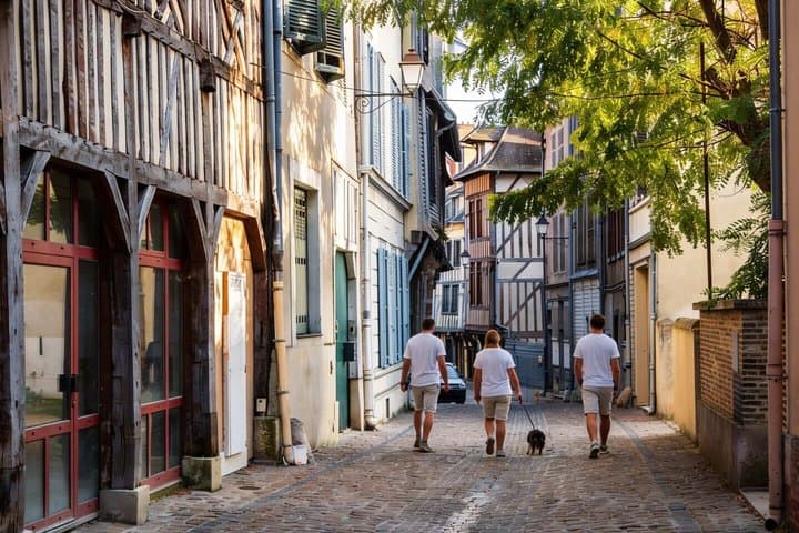 Hello Troyes: Private 2-Hour Intro City Walk with Local Guide