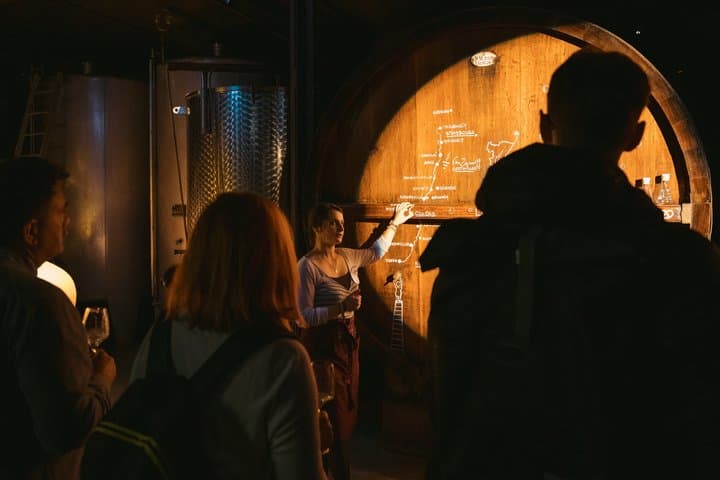 Immersive Cellar Tour - tasting - Kougelhopf to Strasbourg