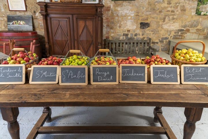 Gastronomic Tour of the Pays d'Auge with Tasting