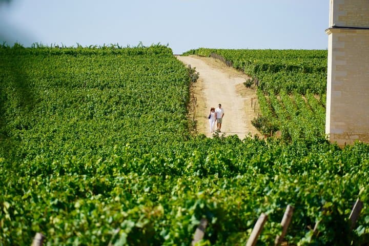 From Dijon : Morning Côte de Nuits and tasting
