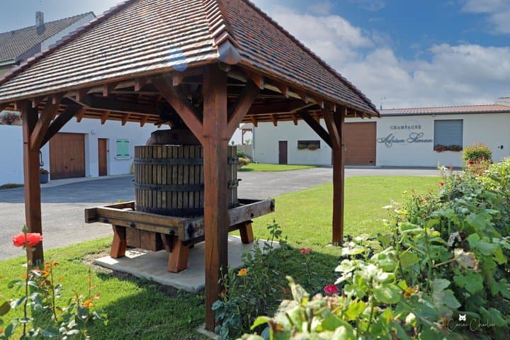 Visit of a family estate of Champagne near Reims