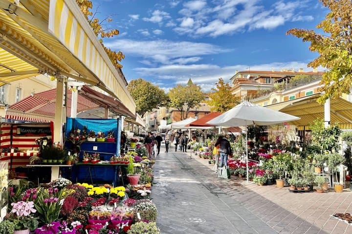 LICENSED GUIDE- Private Tour Nice Old Town Market and Castel Hill