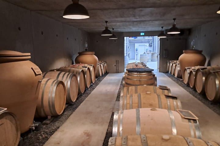 Introduction to Loire Anjou Wines Morning Wine Tasting Tour