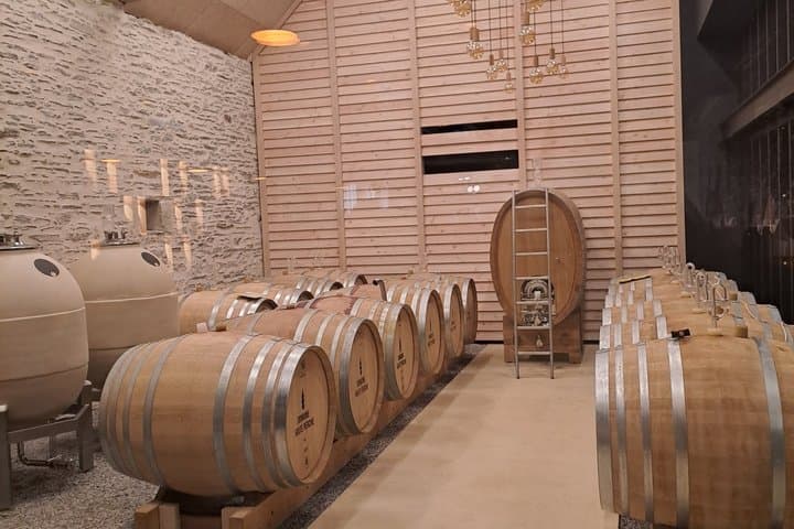 Introduction to Loire Anjou Wines Morning Wine Tasting Tour