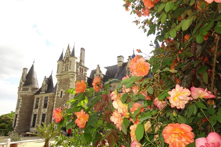 Anjou Gardens Half-Day Tour from Angers