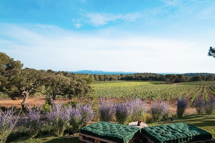 4x4 tour in a winery followed by a tasting