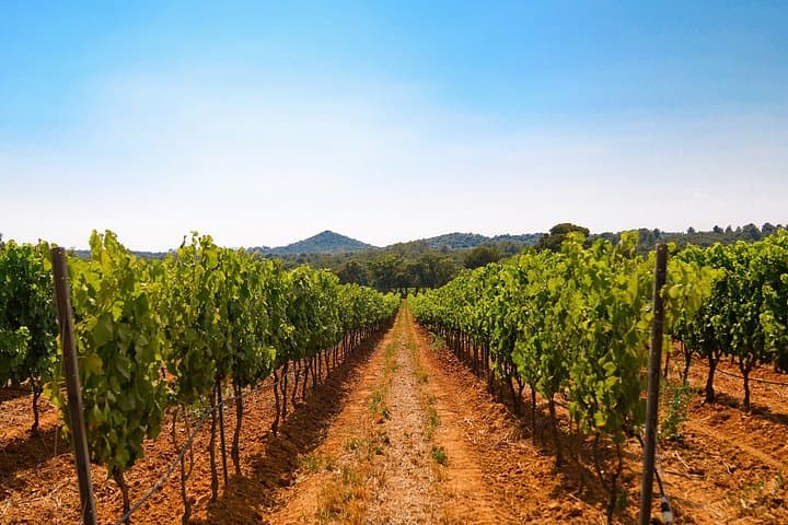 4x4 tour in a winery followed by a tasting