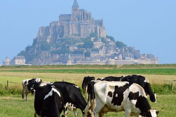 Mont Saint Michel Expert Guide and Lunch Included From Le Havre
