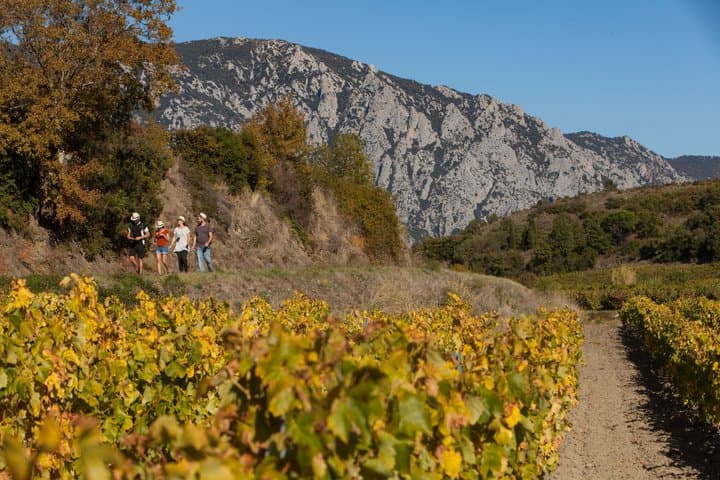 Escape Game in the vineyards