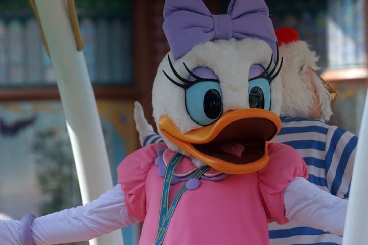 Disneyland Paris Transfer from Paris One Way or Round Trip