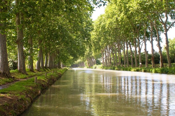 Toulouse Walking Tour with Audioguide on your Smartphone