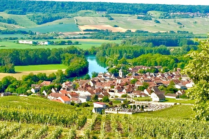 First steps in Champagne Guided tour by van and tastings