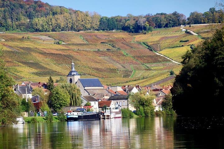 First steps in Champagne Guided tour by van and tastings