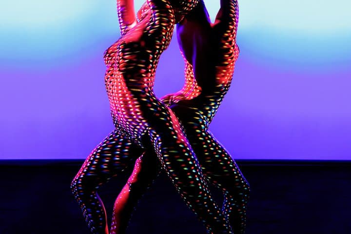 Paris Crazy Horse Cabaret Show