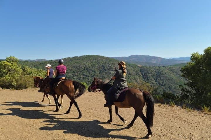 From St. Tropez: Explore La Môle on Horseback with Shared Group