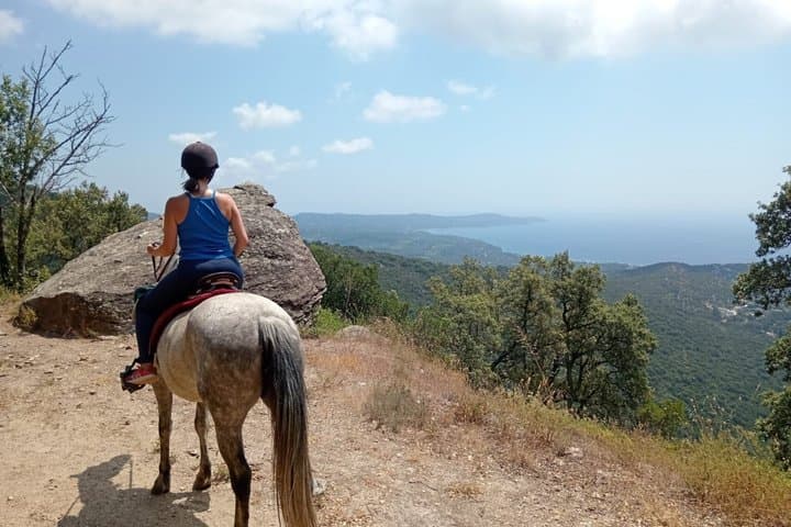 From St. Tropez: Explore La Môle on Horseback with Shared Group