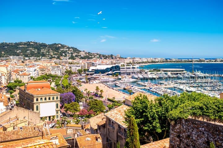 Exclusive Saint-Honorat Monk's Wine Experience from Cannes