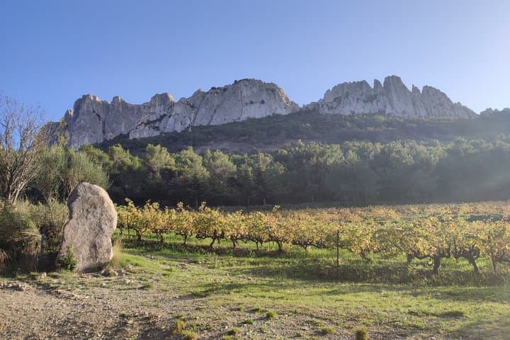 Drôme Côtes du Rhône Grignan Day Geology Terroir Wine