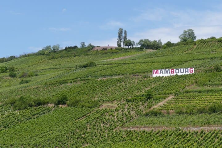 From Colmar half-day tour of Alsatian villages and wine