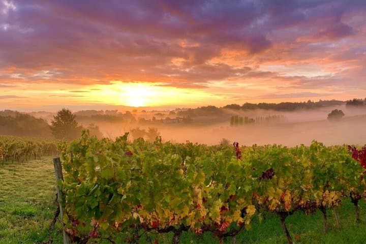 Bordeaux & Saint-Émilion Wine Tour: Self-Guided GPS Audio Guide