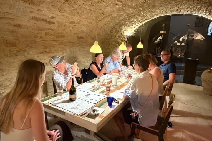 Châteauneuf du Pape and Gigondas Private Wine Day in Méhari