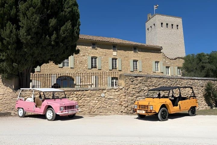Châteauneuf du Pape and Gigondas Private Wine Day in Méhari