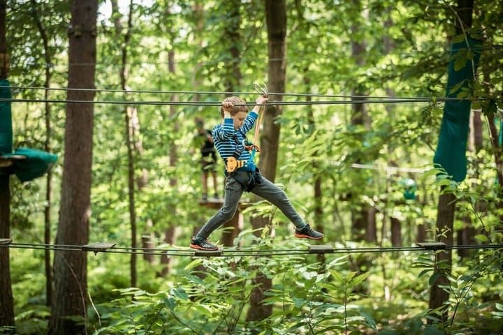 Adventure Park and Climbing Day in the Forest near Paris