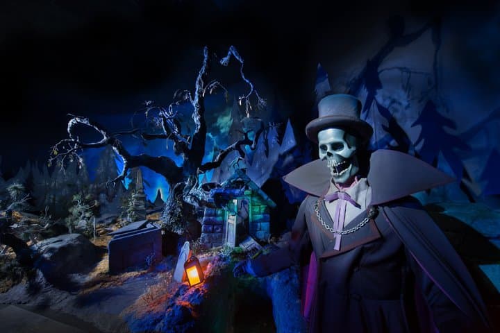 Disneyland® Paris 1 Day with Round-Trip Train Tickets from Paris