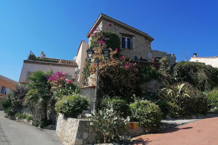 From Nice Antibes Private Half-Day Tour