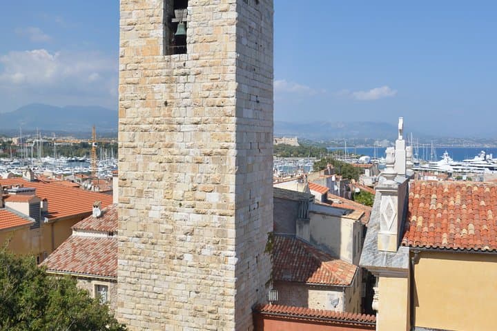 From Nice Antibes Private Half-Day Tour