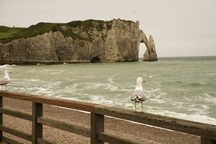 Private Normandy Highlights Tour Rouen Etretat and Honfleur